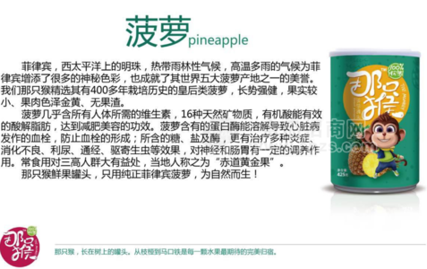 菠萝罐头 水果罐头