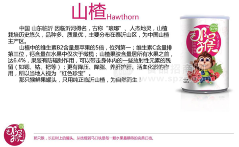 山楂罐头 水果罐头