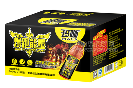 爆跑能量維生素運(yùn)動(dòng)飲料強(qiáng)化型果味飲料600mlX15瓶-600mlX15瓶