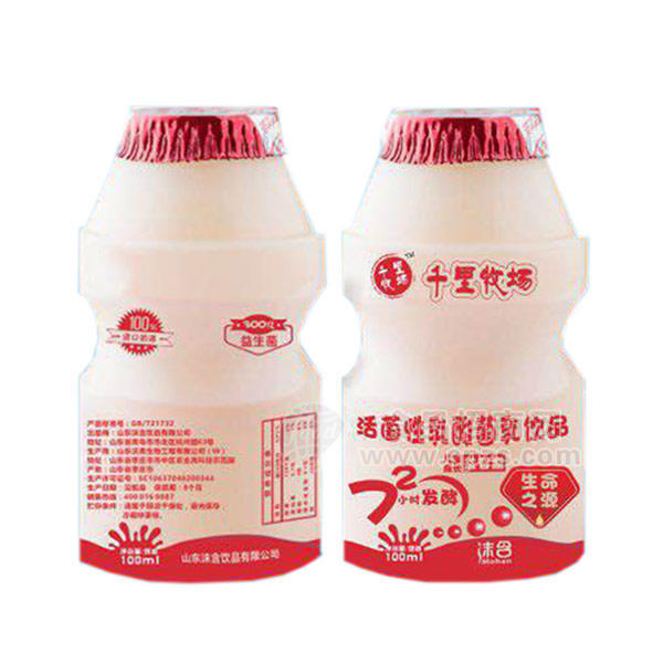·千里牧场 乳酸菌饮品 100mL 