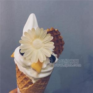 海川旗下伊可多酸奶软冰淇淋粉