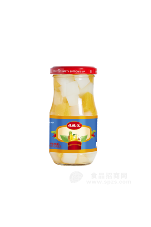 水果什锦罐头248g