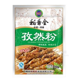 稻香全香孜然粉30g調(diào)味料