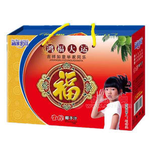 涵冰果园生榨椰子汁礼盒装