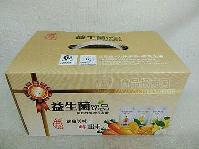 益生菌果蔬發(fā)酵飲品