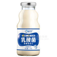 初饮  乳酸菌乳饮品248mL