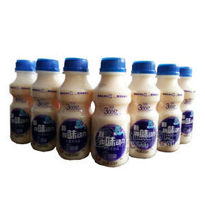 甄悦味动力  乳酸菌饮品 340mL