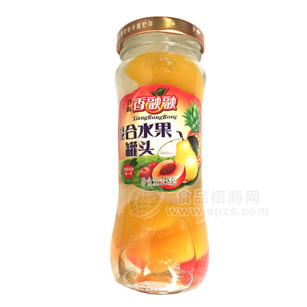 ·混合水果罐头248g 