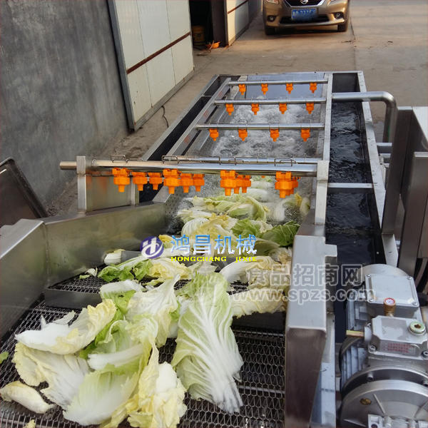 蔬菜清洗线 清洗设备