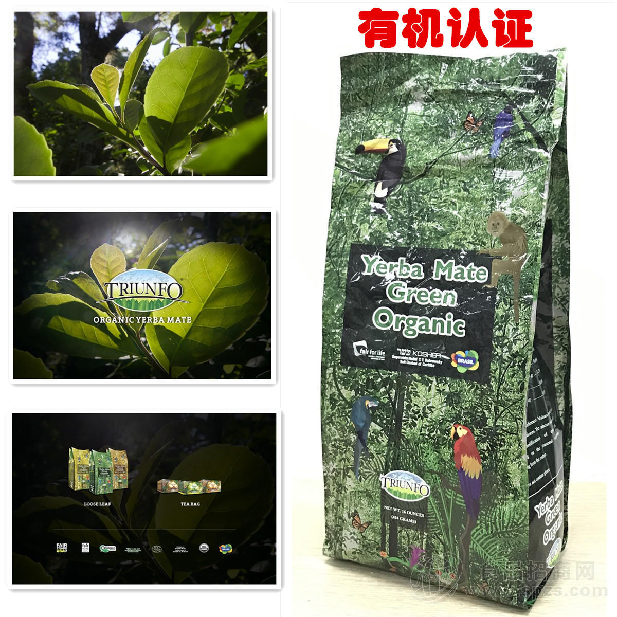 巴西有机马黛茶绿茶
