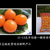 荆楚明珠11-13克中大号优质鸭蛋黄