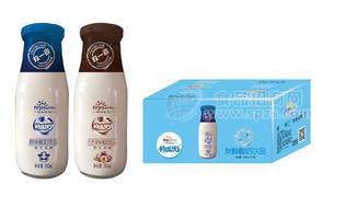 300ml原味发酵酸奶