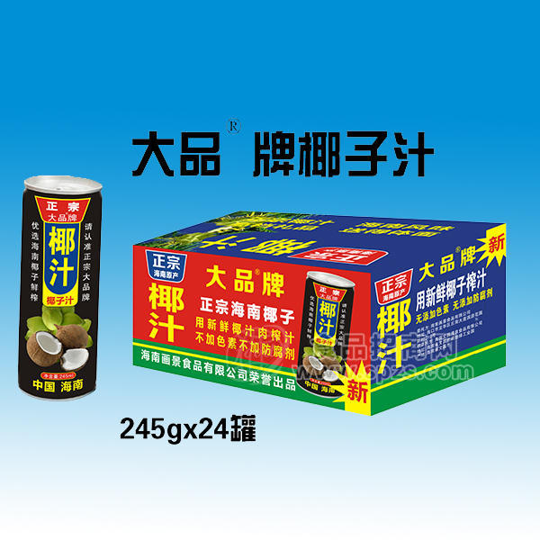 ·椰子汁植物蛋白饮料245gx24罐 