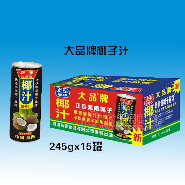 ·椰子汁植物蛋白饮料245gx15罐 