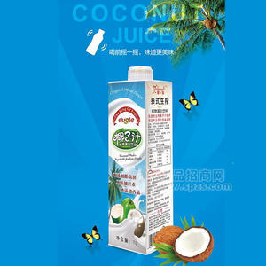 泰式椰子汁植物蛋白饮料1L