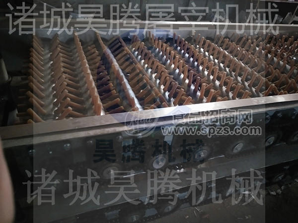 全自动鸽子屠宰流水线介绍