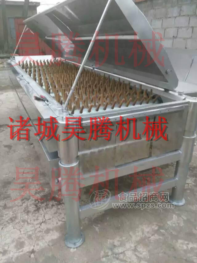 大白鹅脱毛机专业制造