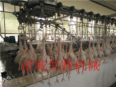 大型鸡鸭鹅屠宰流水线工作原理介绍