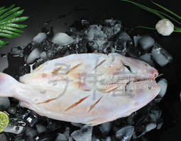 冰凍鮰魚(yú)，烤魚(yú)半成品魚(yú)，腌制魚(yú),潯味堂，批發(fā)