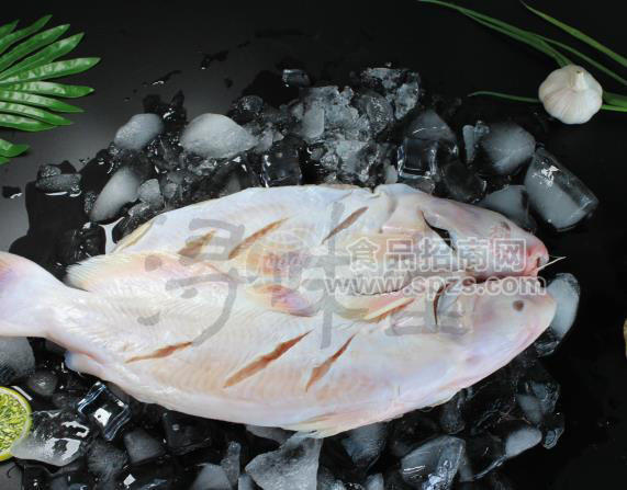 冰凍鮰魚，烤魚半成品魚，腌制魚,潯味堂，批發(fā)