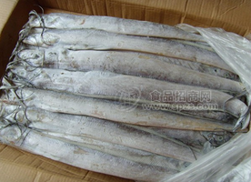 天津冷凍批發(fā)帶魚鮑魚對蝦龍蝦鱈魚鰻魚等