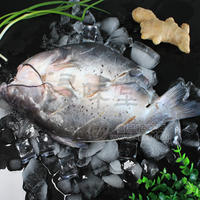 冰凍清江魚(yú)，烤魚(yú)半成品魚(yú)，腌制魚(yú),潯味堂，批發(fā)