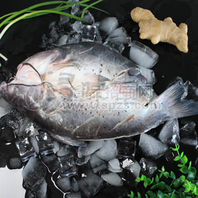 冰冻清江鱼，烤鱼半成品鱼，腌制鱼,浔味堂，批发