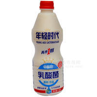 年輕時代乳酸菌1.28L