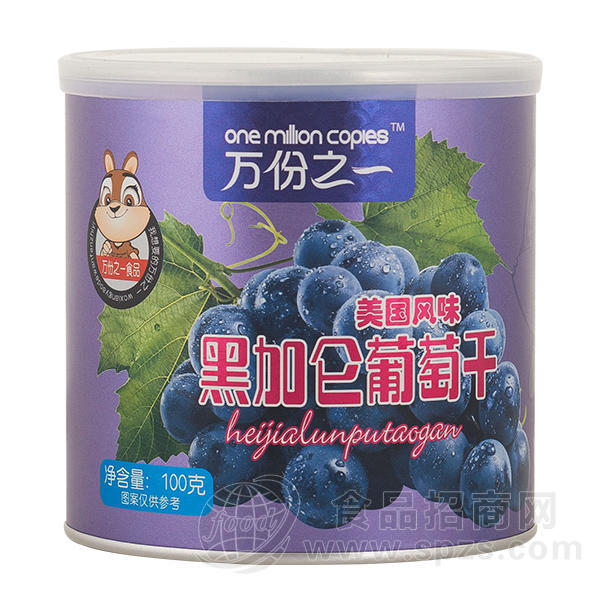 万份之一  美国风味 黑加仑葡萄干 休闲食品罐装100g