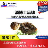 南美刺参王白色精品