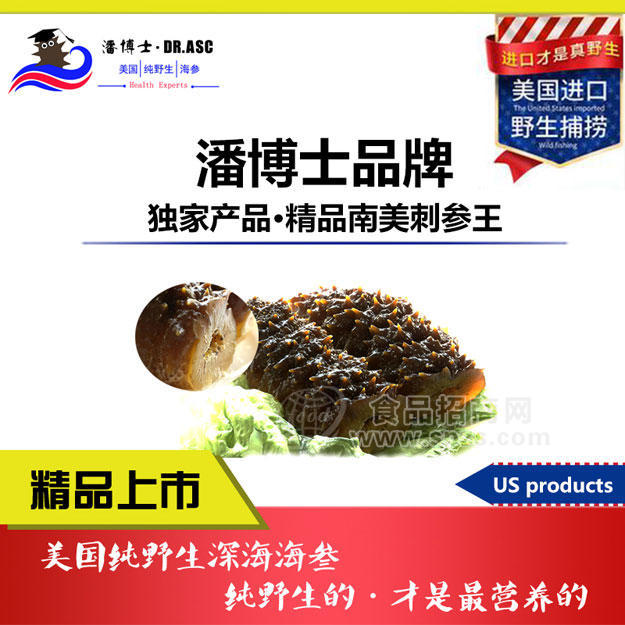 南美刺参王白色精品