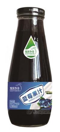 炫异争奇 蓝莓果汁饮料780ml