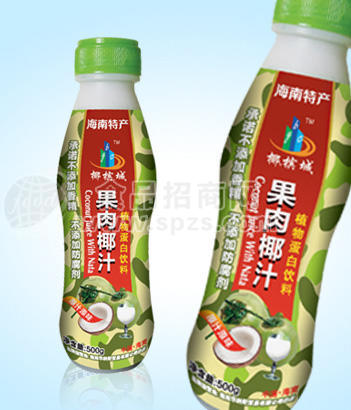 椰槟城果肉椰汁500g