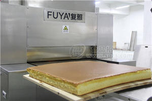 工艺精良长崎蛋糕隧道炉