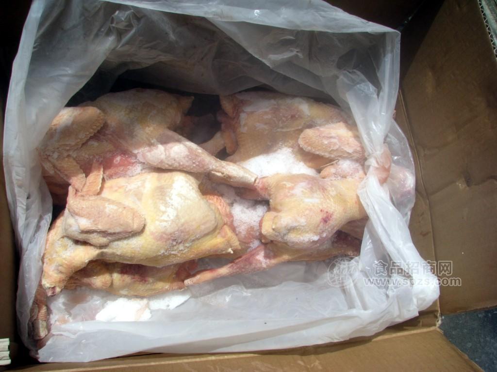 批发西装鸡650克－700克,鸡腿(130克