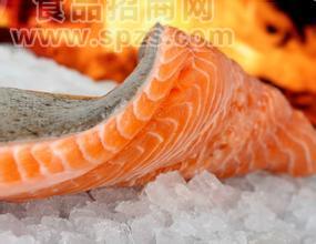 批发冷冻进口三文鱼,三文鱼片,三文鱼骨架