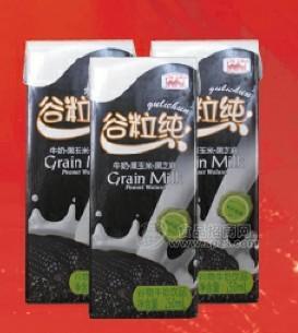 谷粒纯（黑芝麻黑玉米牛奶）
