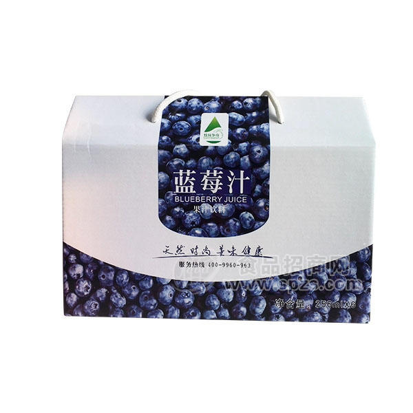 ·炫异争奇 蓝莓汁果汁饮料250ml*6 