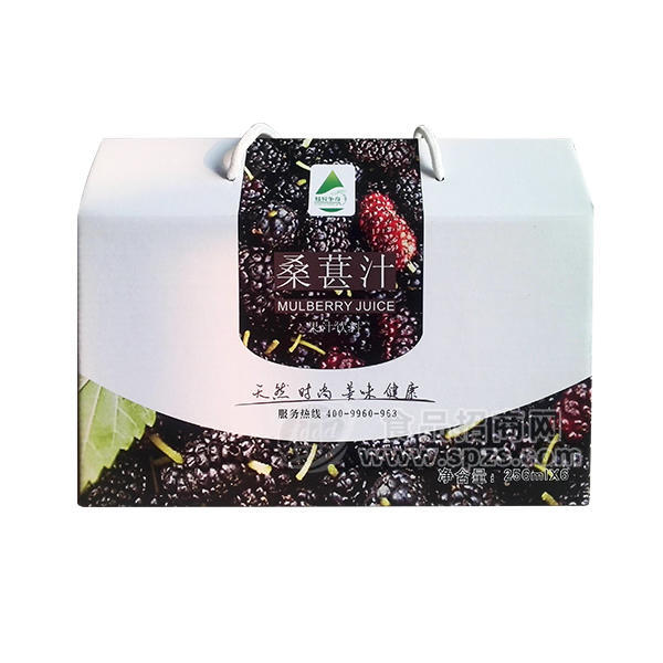炫异争奇 桑葚汁果汁饮料256ml*6