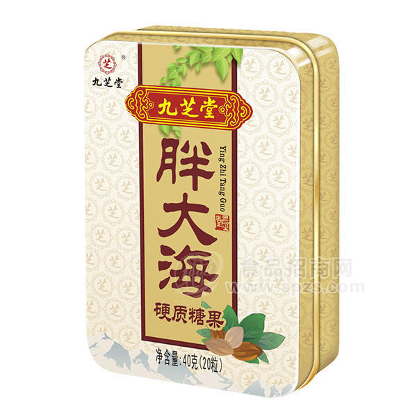 九芝堂 胖大海 硬質(zhì)糖果  40gx20粒