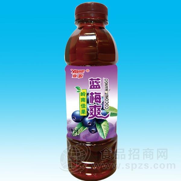 ·亚源 蓝莓爽果汁饮料600ml 