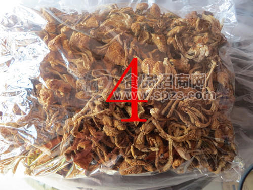 蘑菇东北特产漠河北极源食品