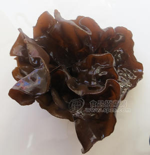 木耳东北特产漠河北极源食品