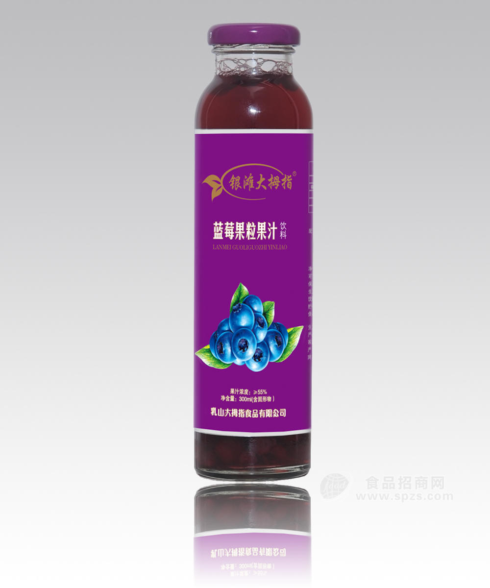 藍梅果汁果粒飲料300ml