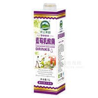 河上果园蓝莓乳酸菌 复合果汁饮料1L