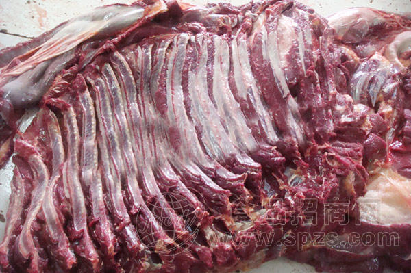 厂家直销冷冻驴排骨