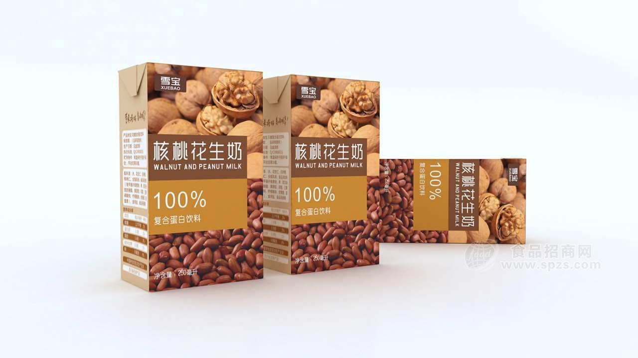 核桃花生奶  100%復(fù)合蛋白飲料     250ml
