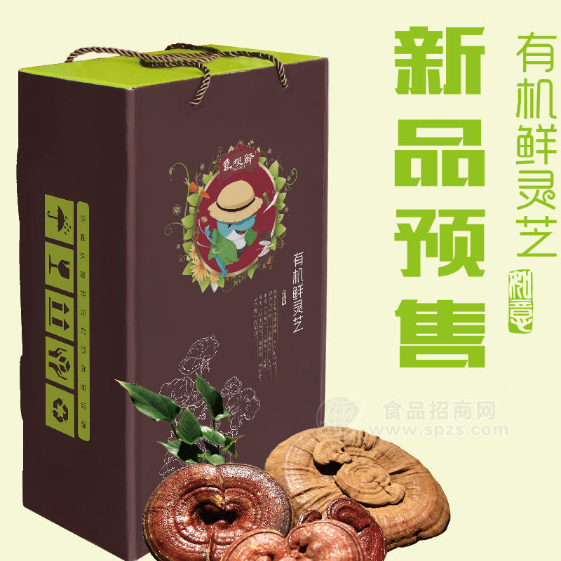 袁坝驿 有机鲜灵芝