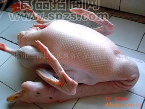 批发鹅副产品