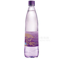 世界村 生命源水 飲用天然山泉水510ml